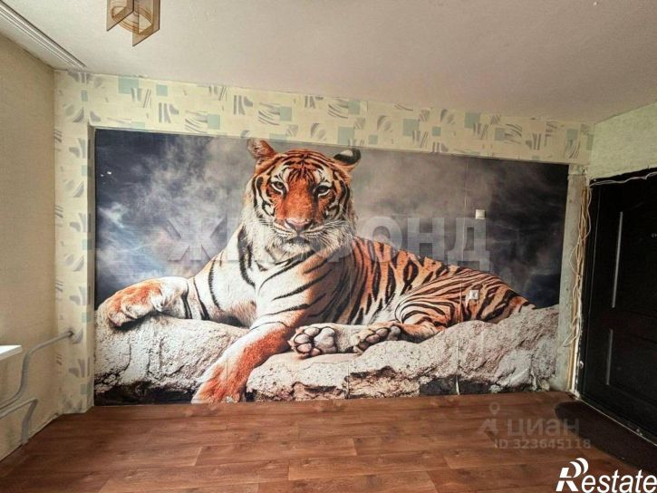 Комната Торговая улица, 8,  д. 8