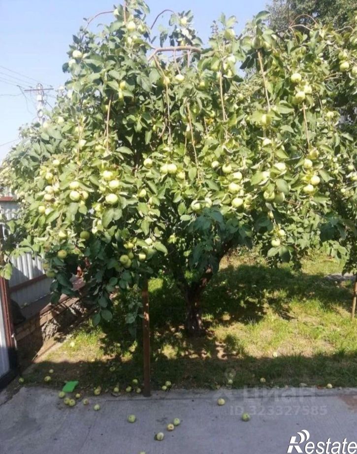 Коттедж/дом ул Белоярская, 135,  д. 135