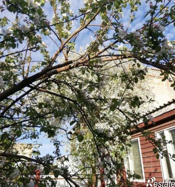 Коттедж/дом ул Белоярская, 135,  д. 135