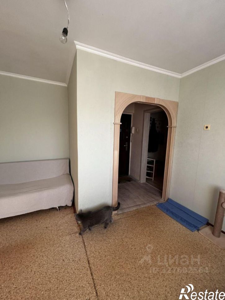 1-комн квартира ул Торговая, 10,  д. 10