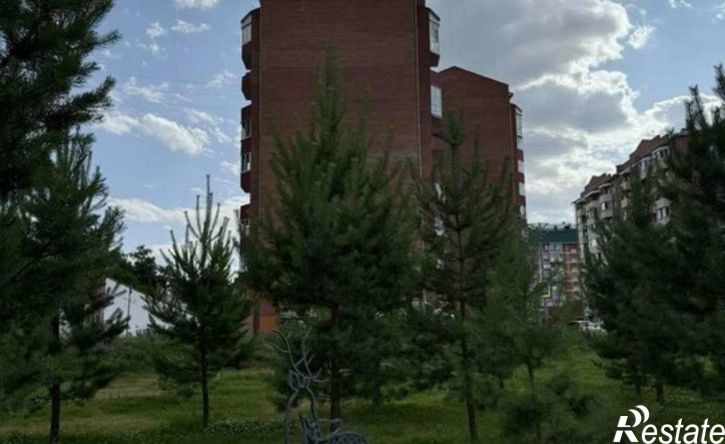3-комн квартира Северный пр-д, 41,  д. 41