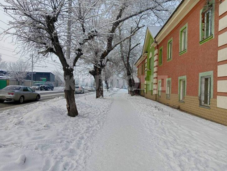 Студия Пушкина ул., д.188