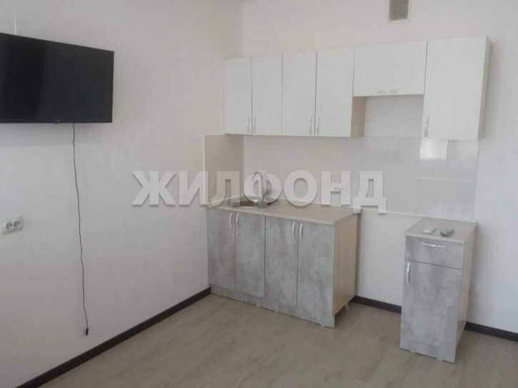 Студия Некрасова ул., д.33