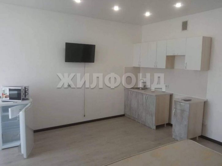 Студия Некрасова ул., д.33