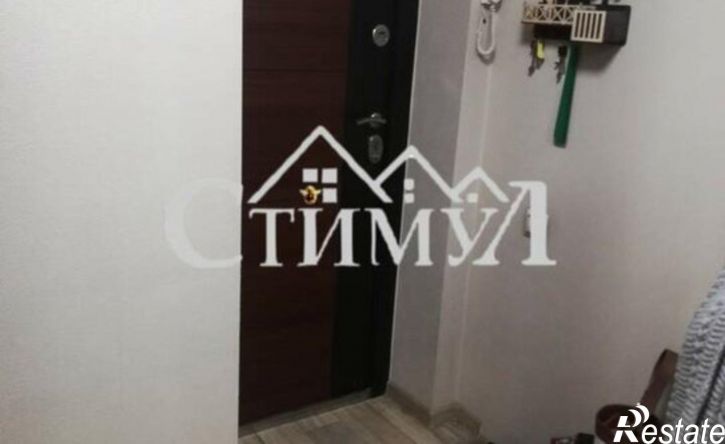 2-комн квартира ул Пушкина, 100,  д. 100