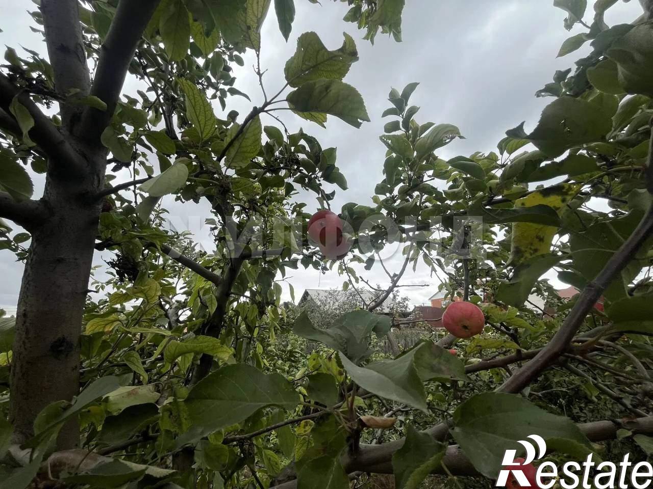 Купить землю, земельный участок за 3 599 000 рублей на Вольная ул.